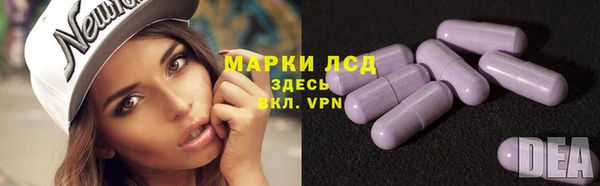 стаф Алзамай