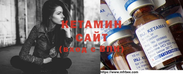 стаф Алзамай